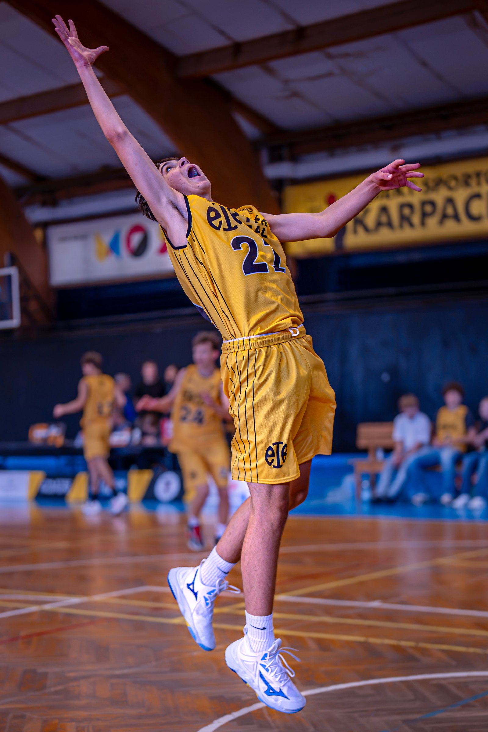 Zdjęcie galerii